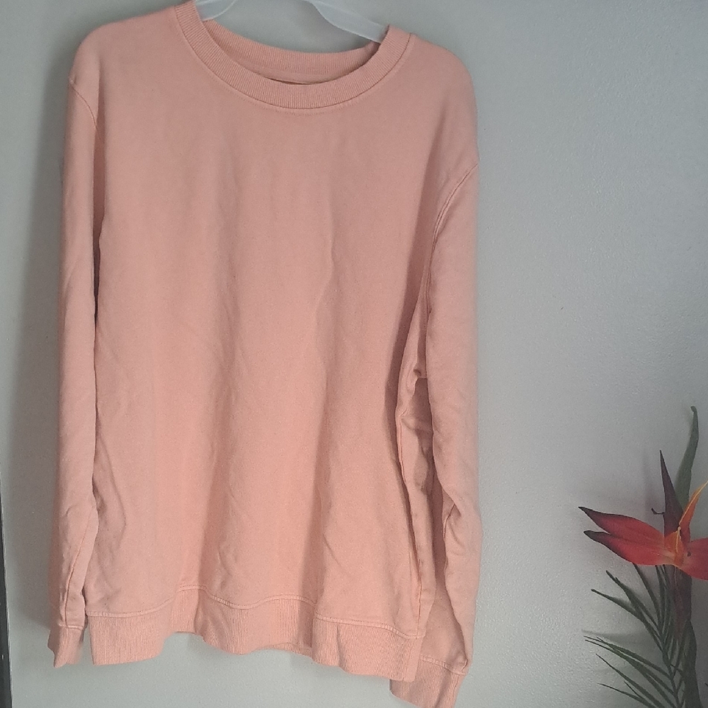 Goodfellow & Co FLAWED Women's Blush Crew Neck Sweater New